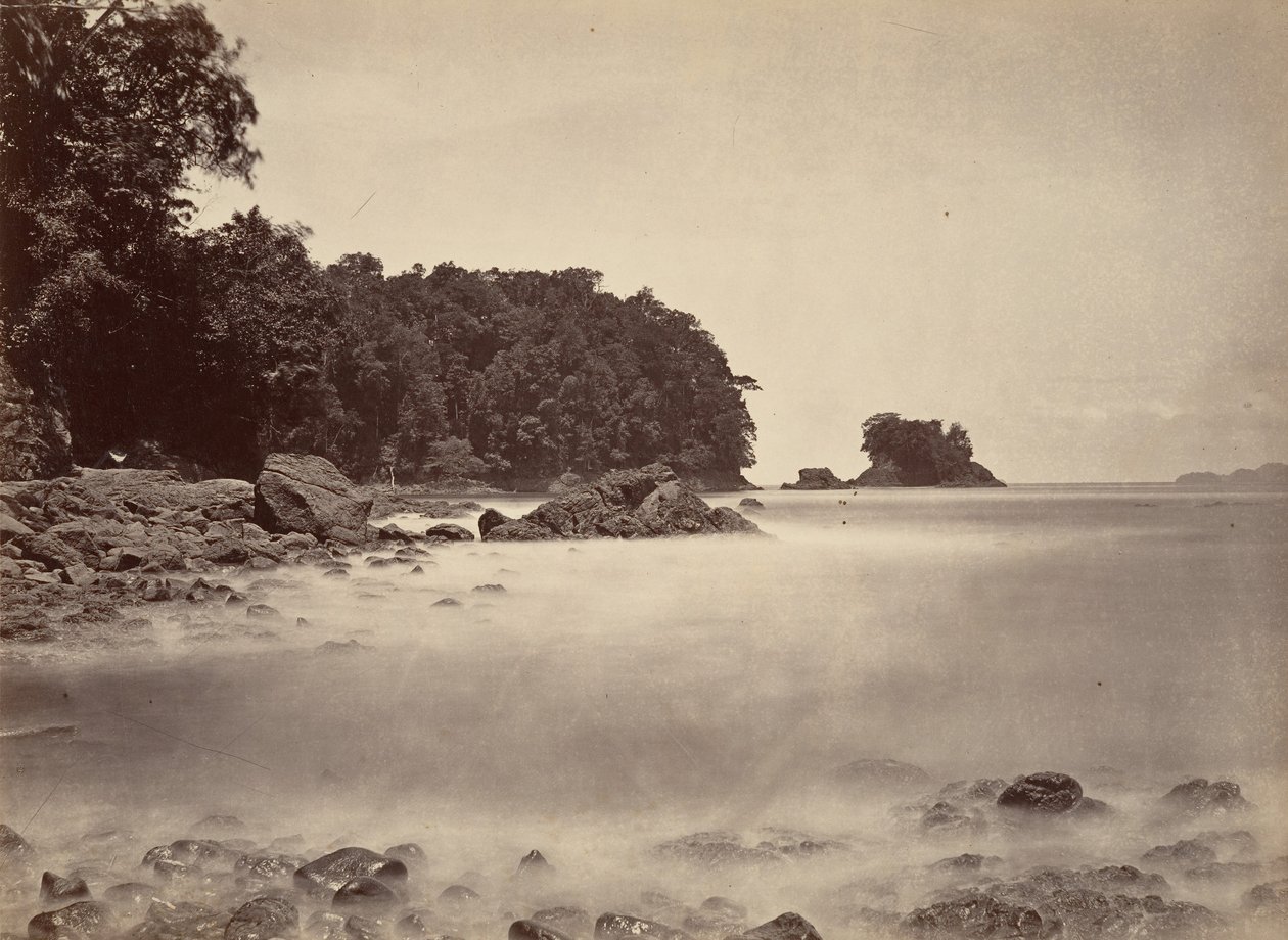 Tropische Landschaft, Blick auf die Limonenbucht von John Moran