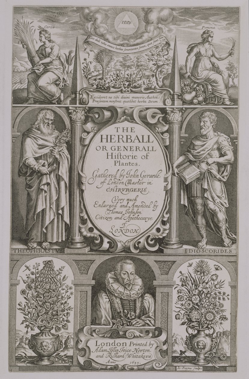 Titelseite der zweiten Ausgabe von The Herball von John Gerard, 1633 von John Payne
