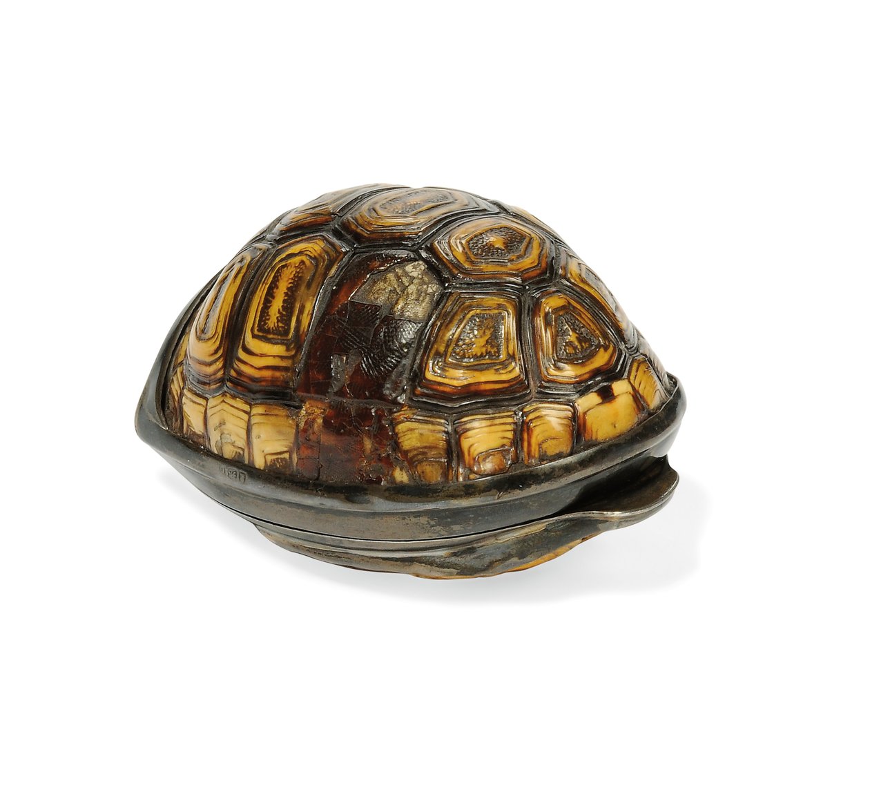 George III Terrapin Schnupftabakdose, 1817 von John Reily