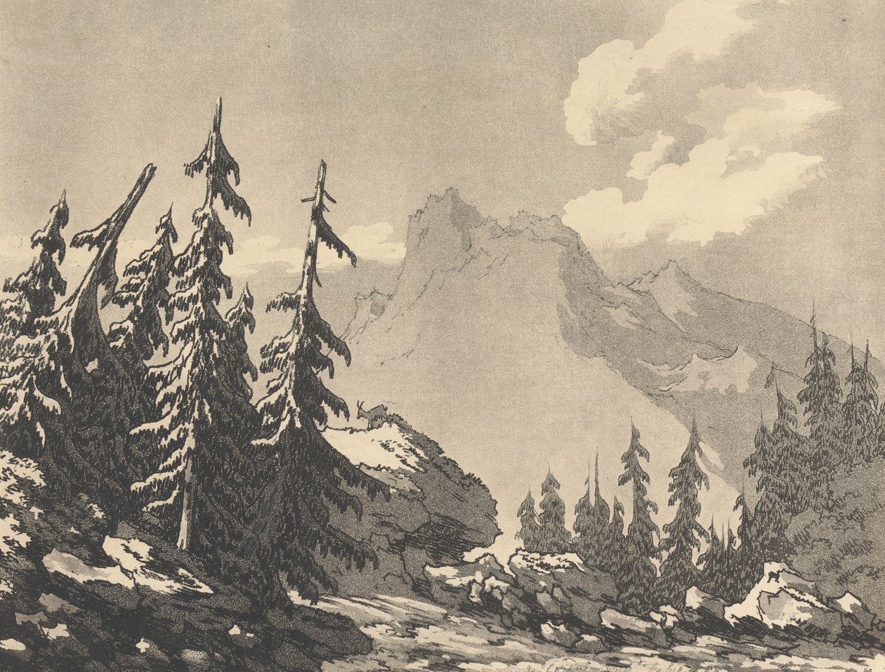 Fichte von John Robert Cozens