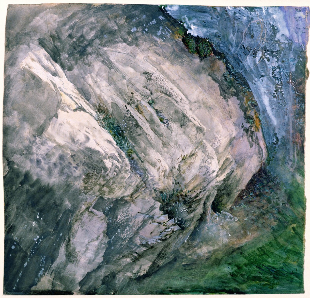 Felsen und Vegetation in Chamouni, 1854 von John Ruskin