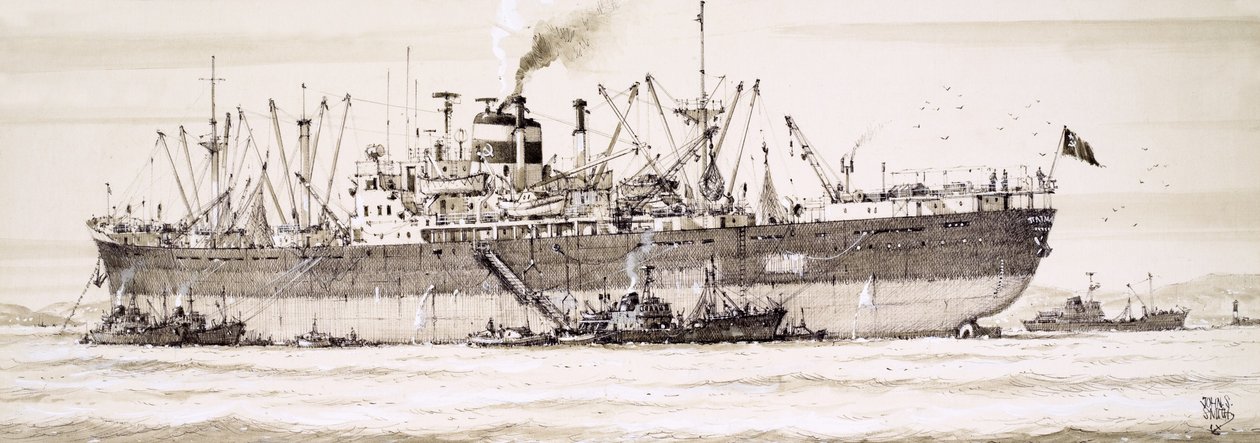 Russische Trawler schwärmen um ein Fabrikschiff von John S. Smith