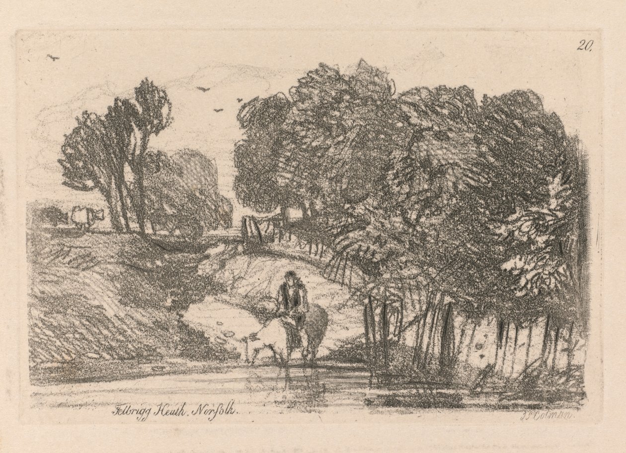 Liber Studiorum: Tafel 20, Felbrigg Heath, Norfolk von John Sell Cotman