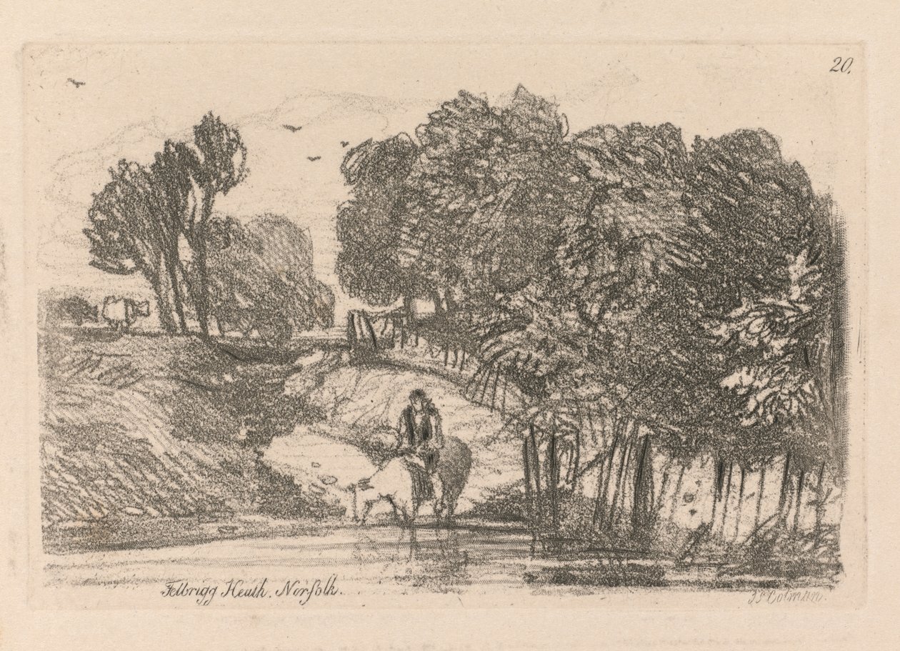 Liber Studiorum: Platte 20, Felbrigg Heath, Norfolk, 1838 von John Sell Cotman