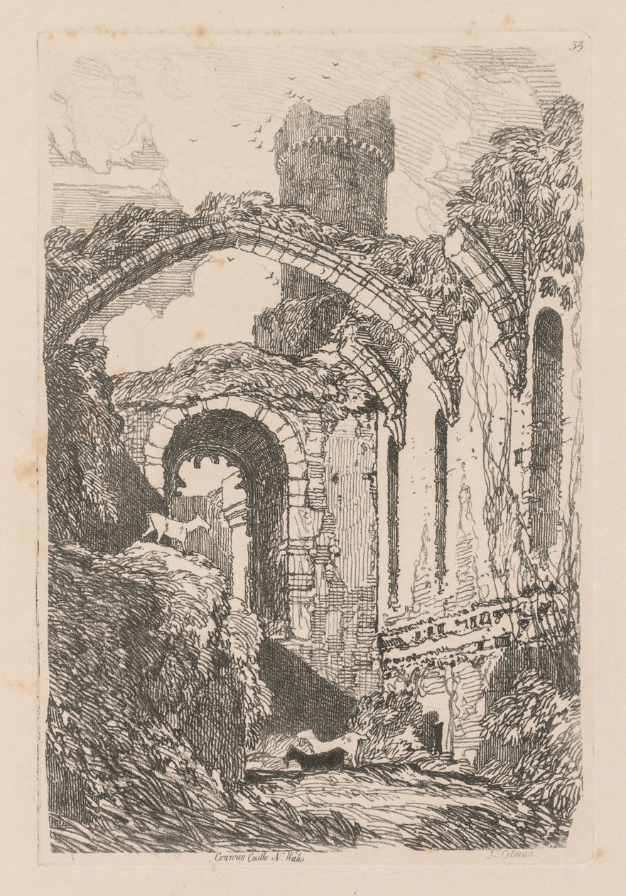 Liber Studiorum: Platte 33, Conway Castle, N. Wales, 1838 von John Sell Cotman