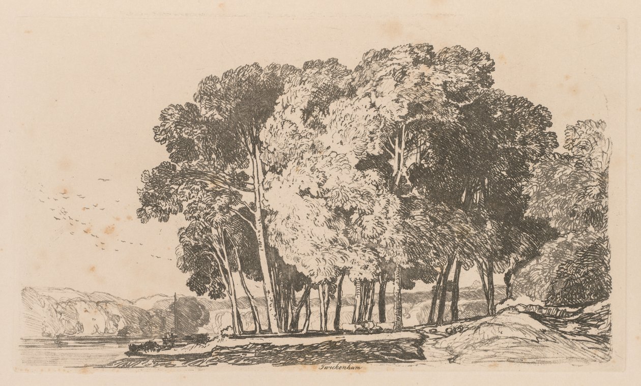 Liber Studiorum: Tafel 3, Bäume bei Twickenham von John Sell Cotman