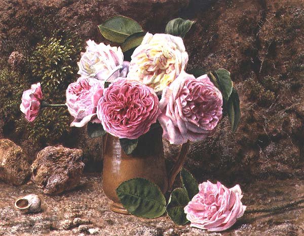 Rosen von John Sherrin