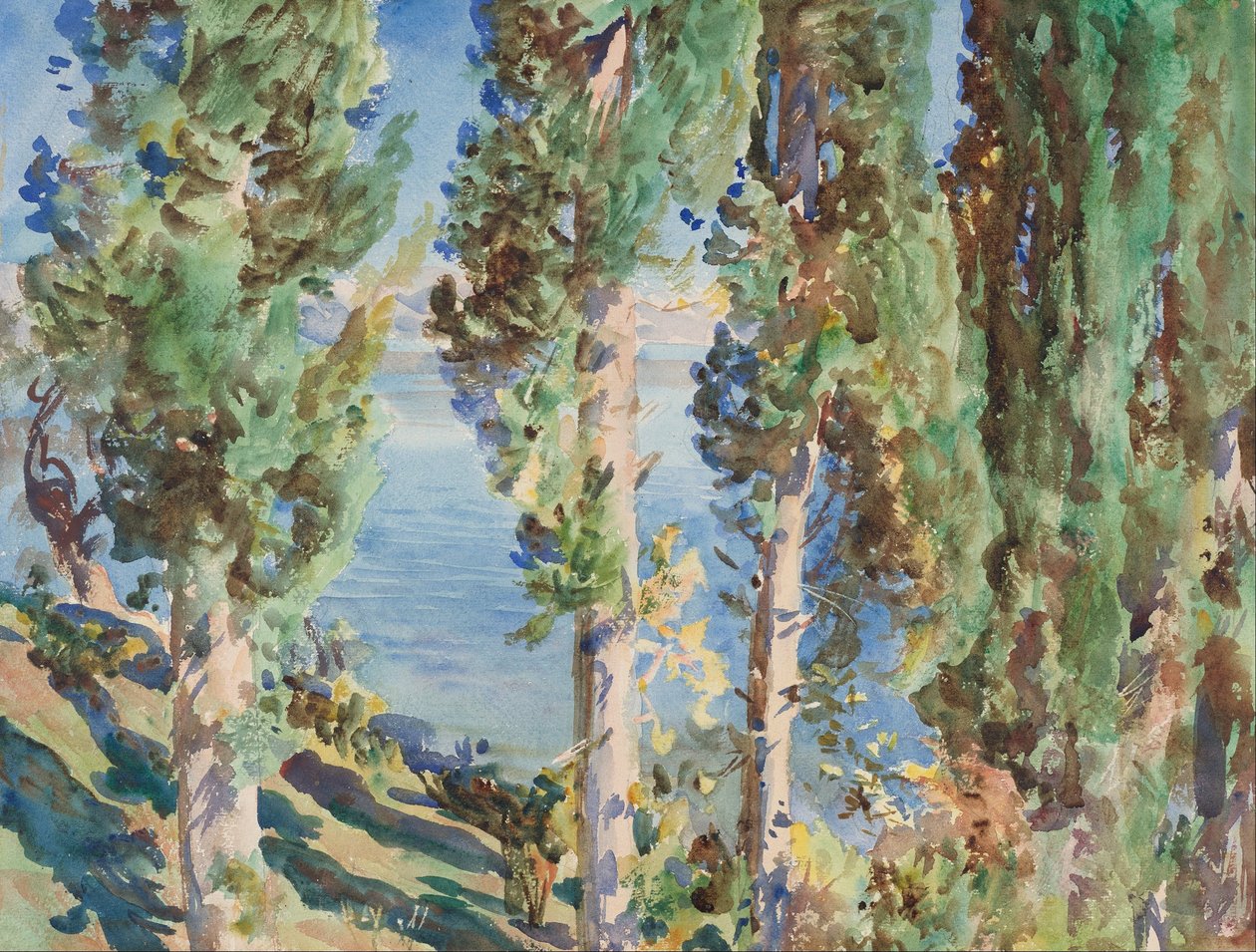 Korfu: Zypressen von John Singer Sargent