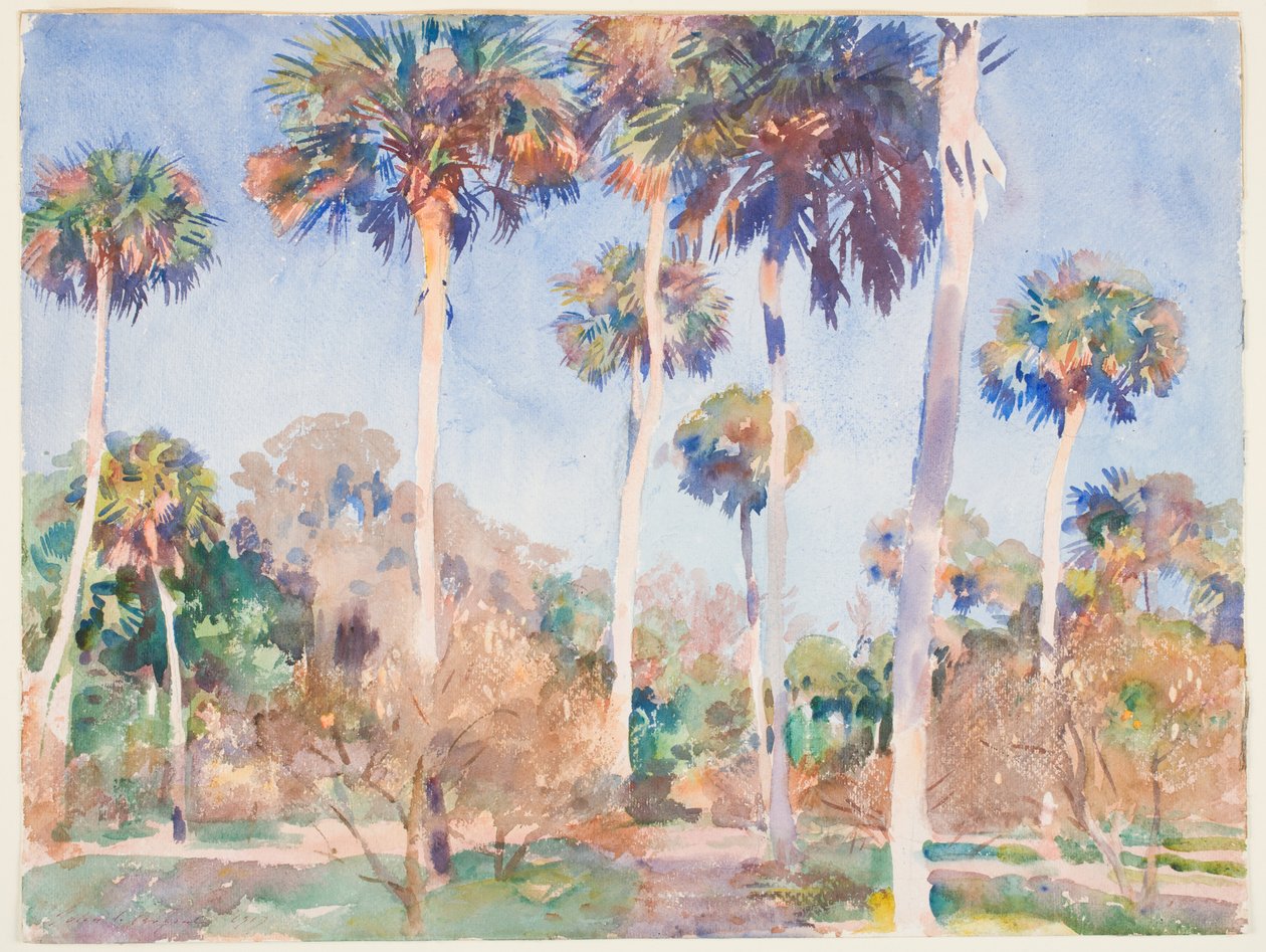 Palmen von John Singer Sargent