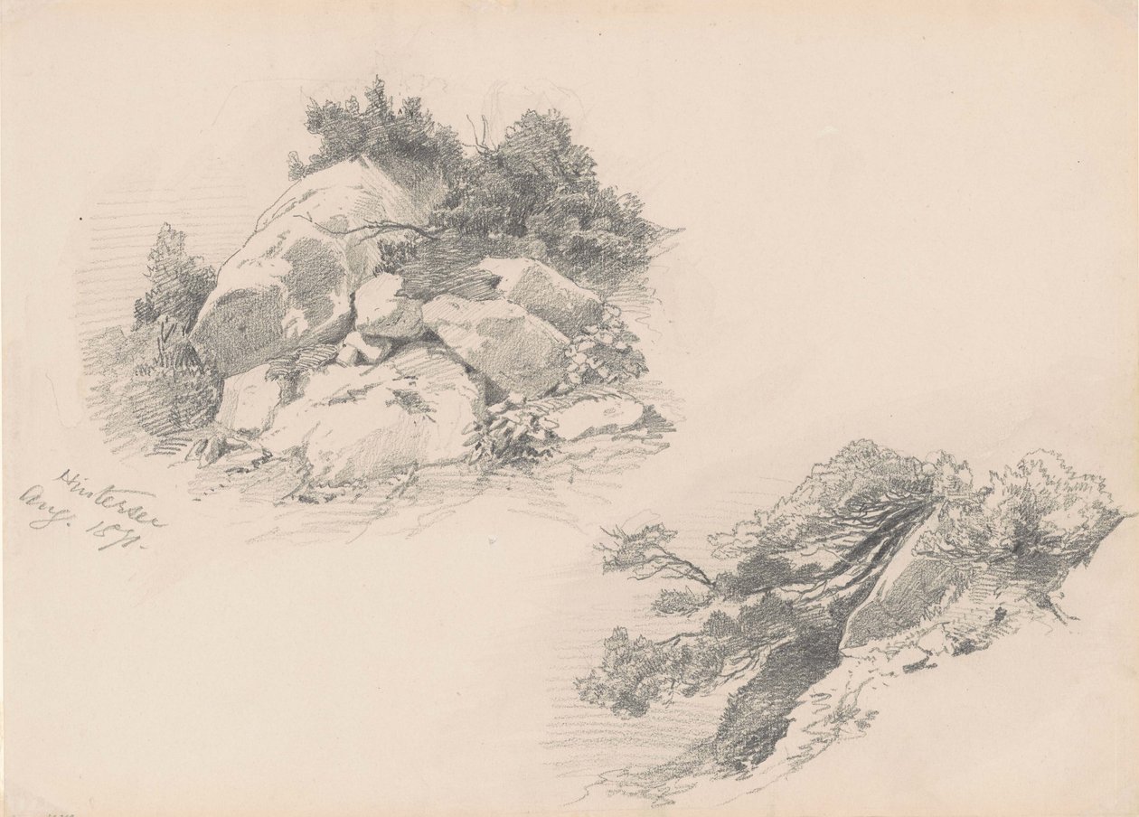Felsen und Gebüsch, Hintersee, Deutschland, 1871 von John Singer Sargent