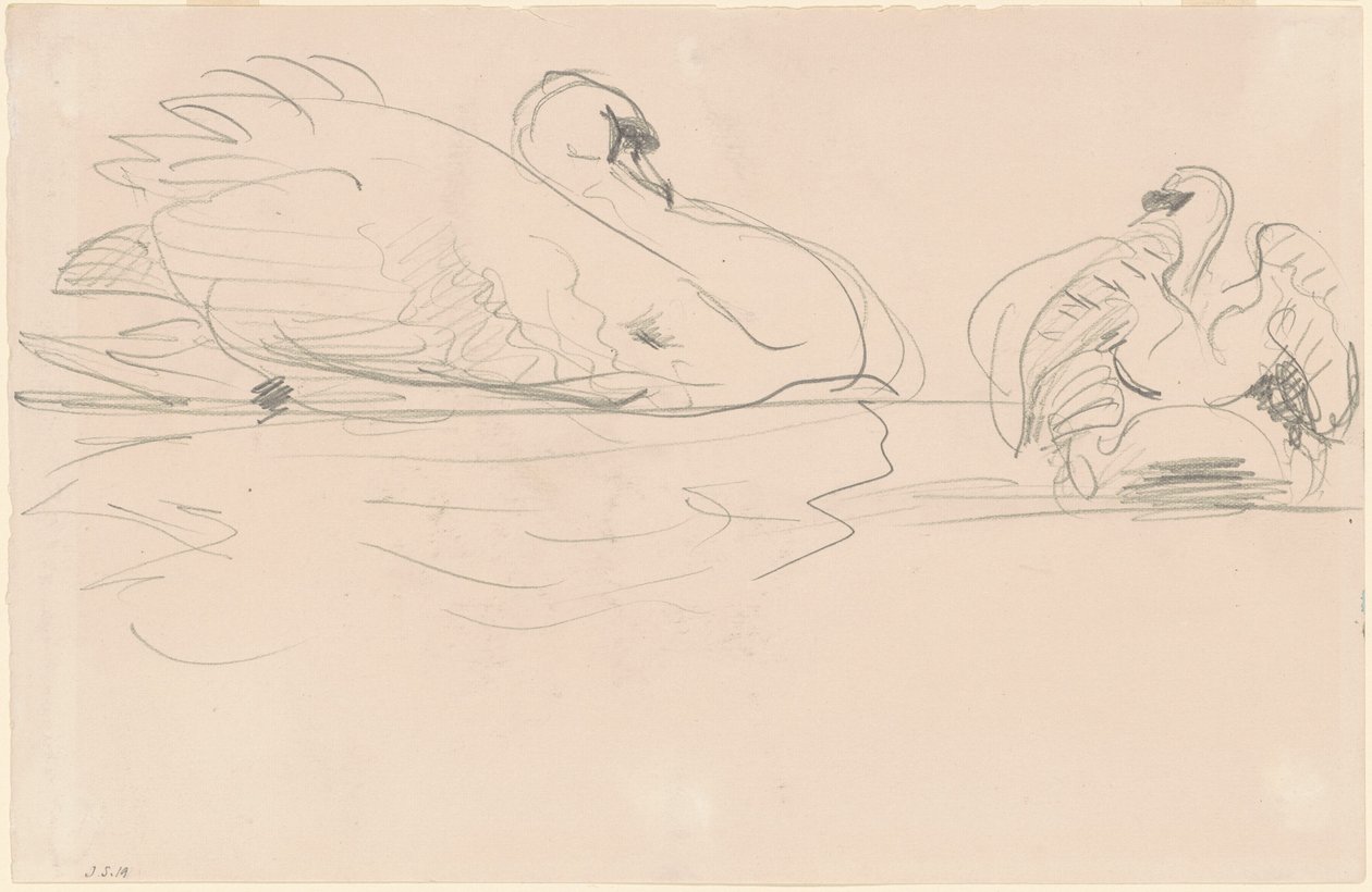 Schwäne im Wasser, 1880-1900 von John Singer Sargent