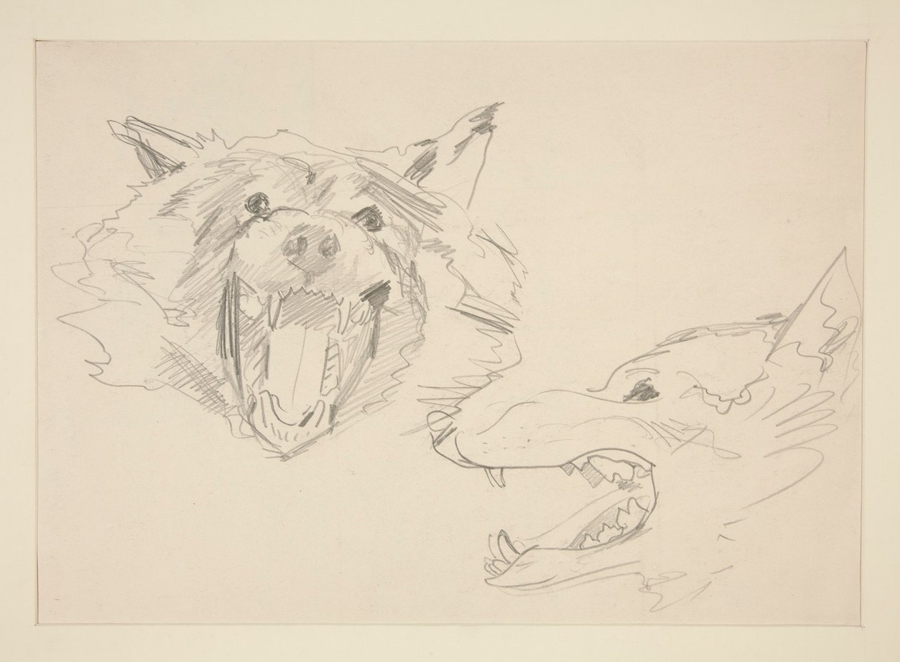 Zwei Ansichten eines Wolfes von John Singer Sargent