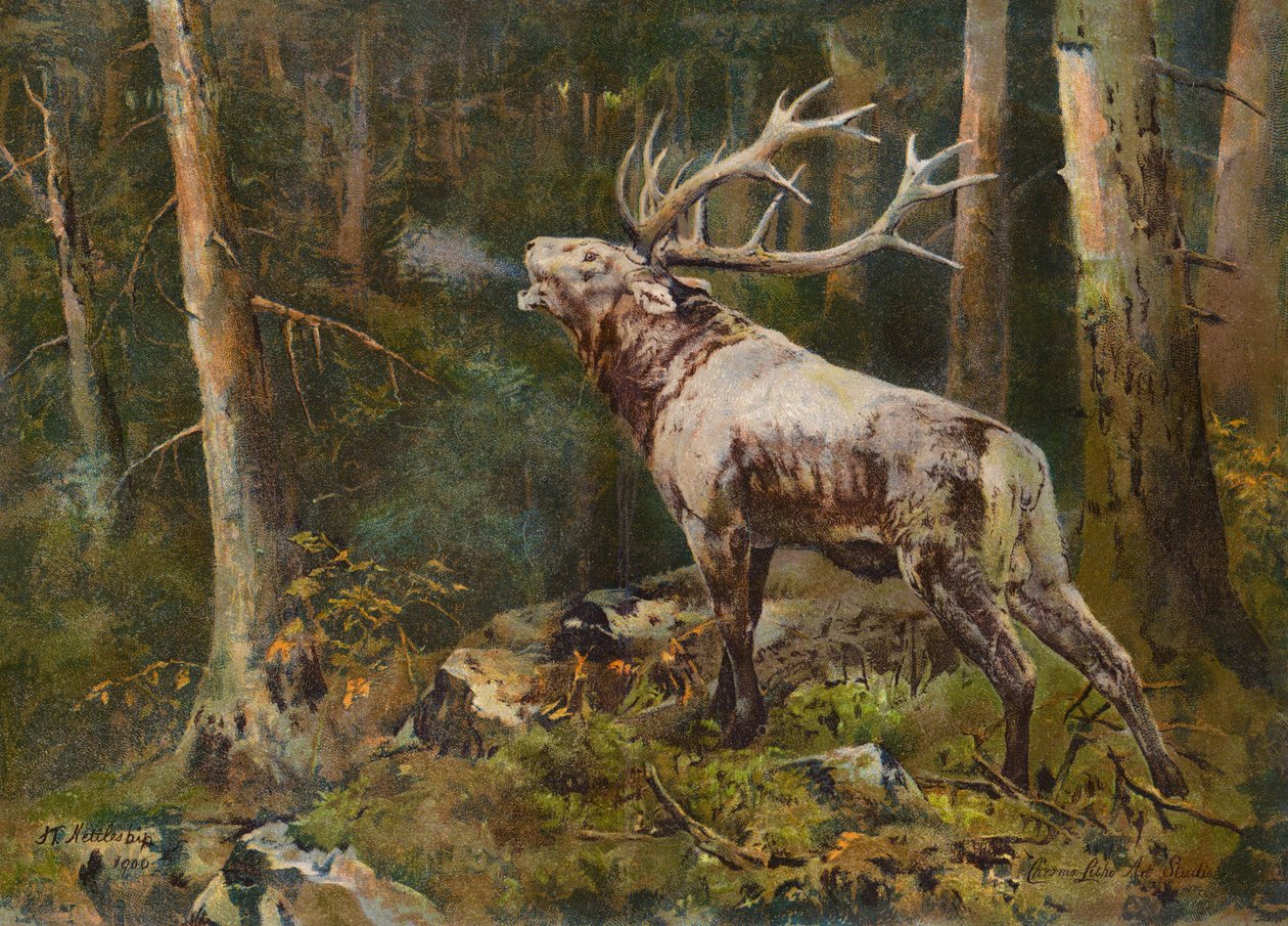 Der Schlachtruf von John Trivett Nettleship