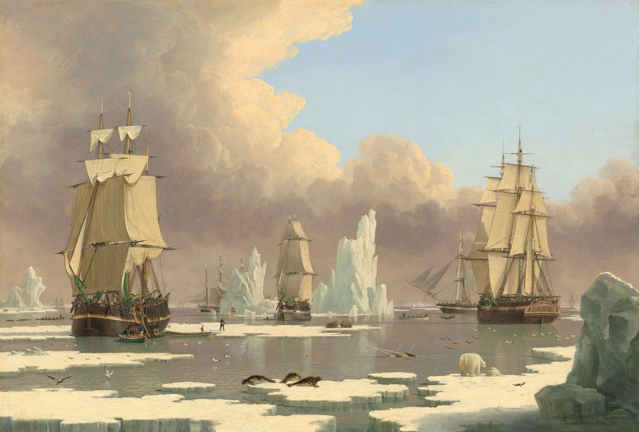 Der nördliche Walfang: Die "Swan" und "Isabella" von John Ward of Hull