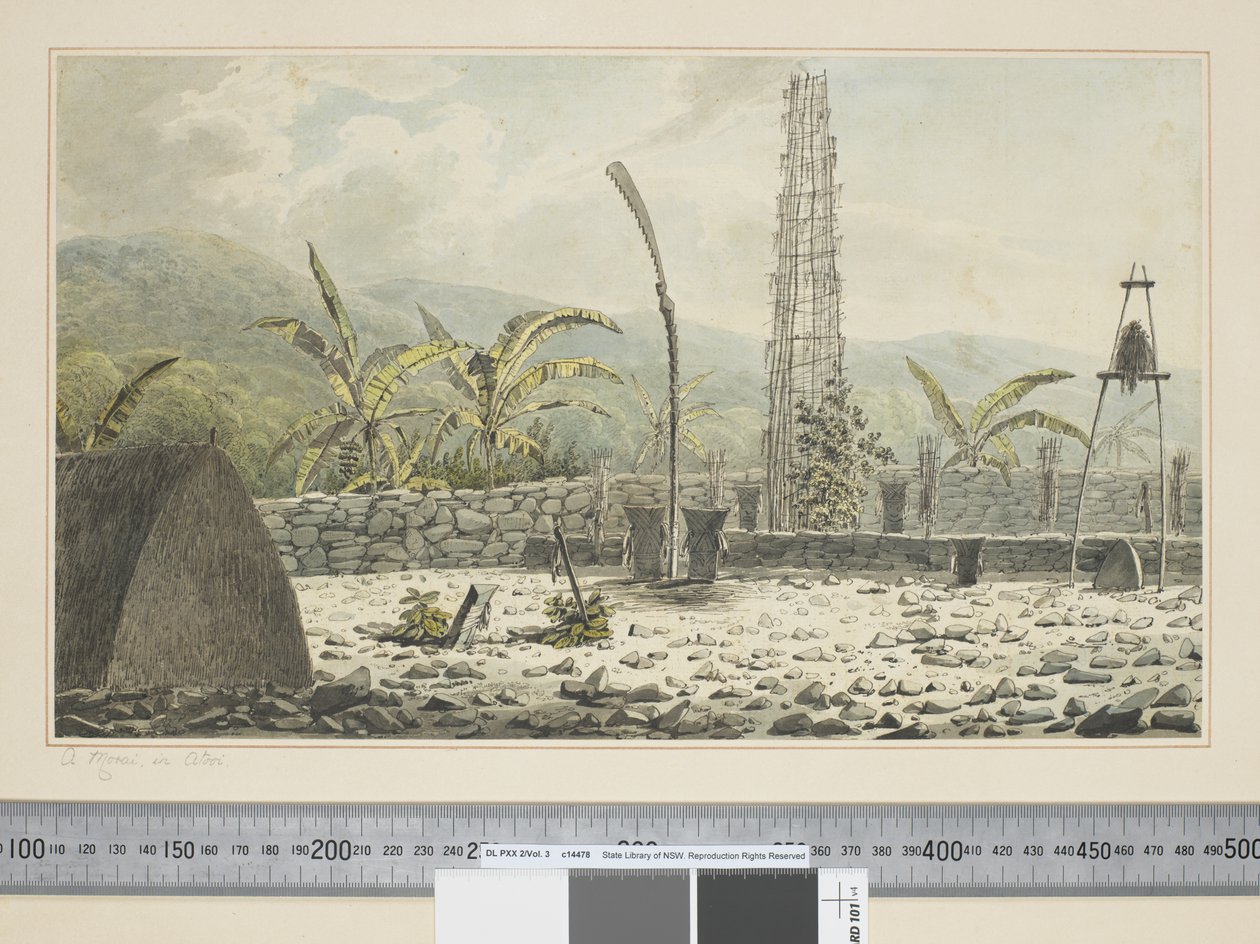 F.17 Ein Morai in Atooi, um 1773-84 (Aquarell) von John Webber