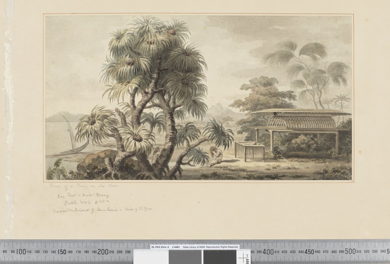 Ansicht eines Grabes am Meeresufer von John Webber