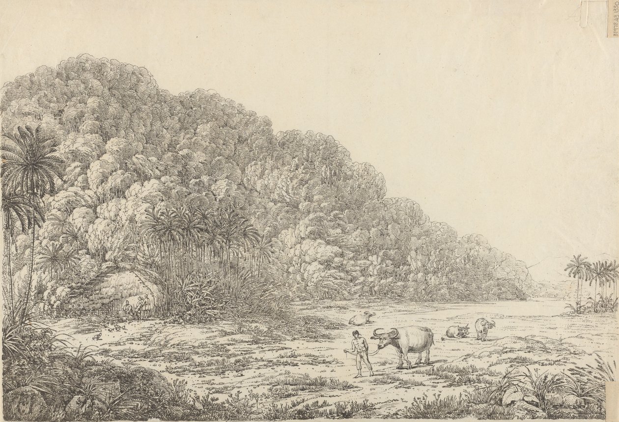 Ansicht der Insel Pulo Condore von John Webber