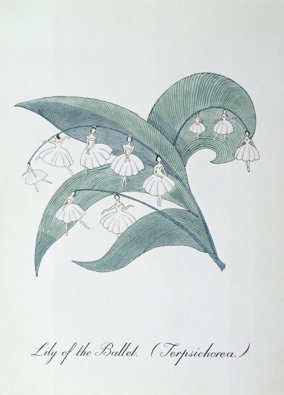 Lilie des Balletts (Terpsichorea.), Illustration aus 