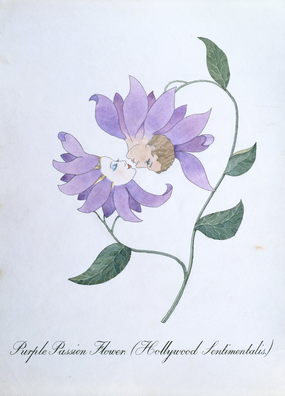 Purpurne Passionsblume (Hollywood Sentimentalis), Illustration aus 