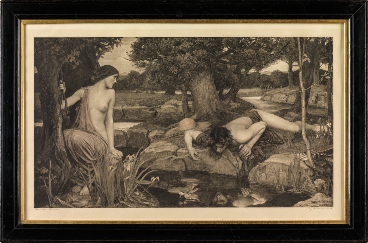 Echo und Narziss von John William Waterhouse