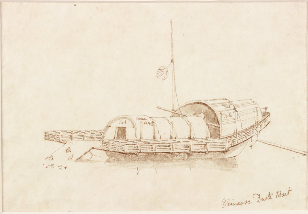 Chinesisches Entenboot von John Wilson Carmichael