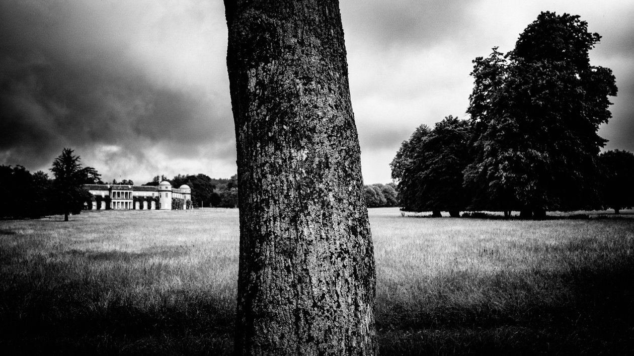 Das Goodwood-Anwesen in West Sussex, UK, 2020 von Jon Nicholson