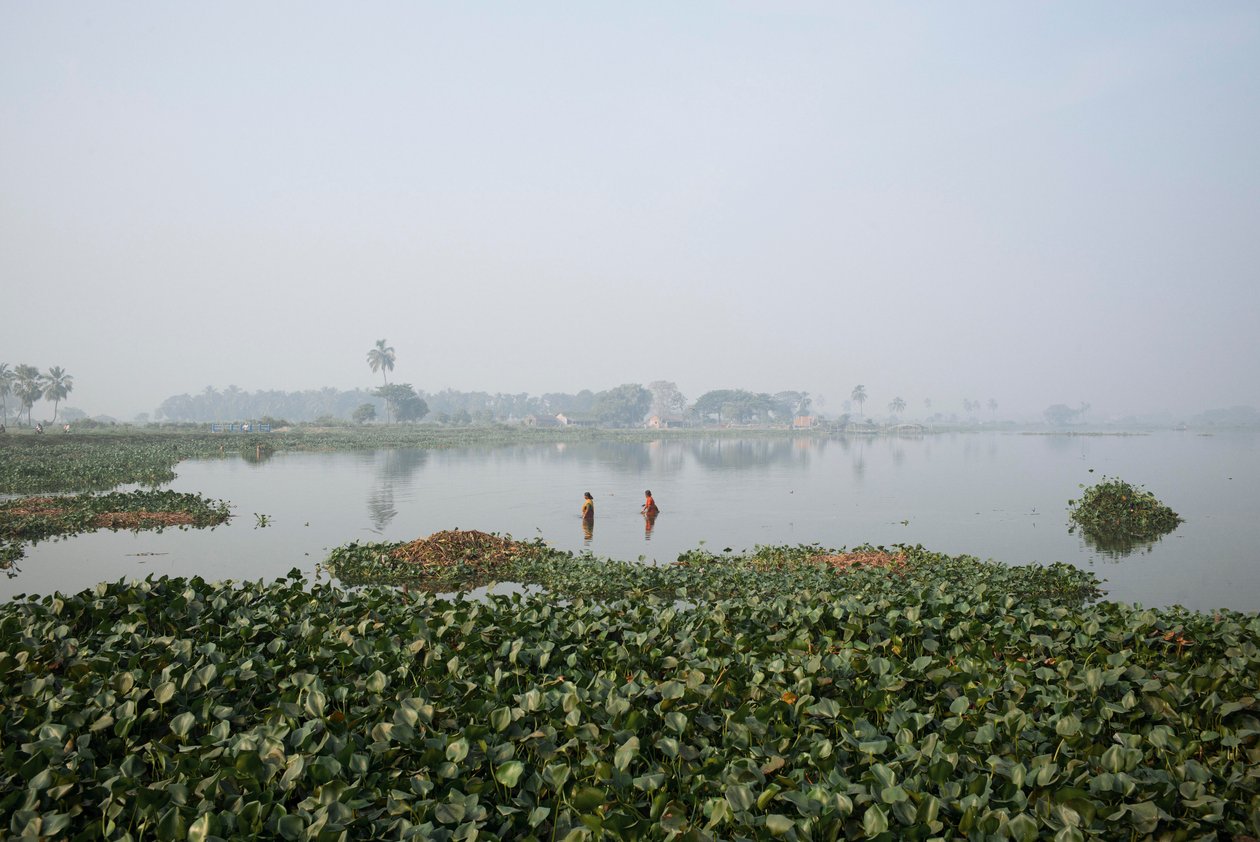 Fischen im Feuchtgebiet in Kolkata, 2016 von Jon Nicholson