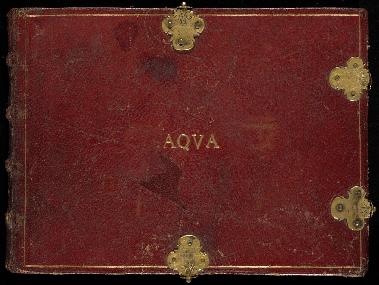 Animalia Aqvatilia et Cochiliata (Aqva), Band III von Joris Hoefnagel