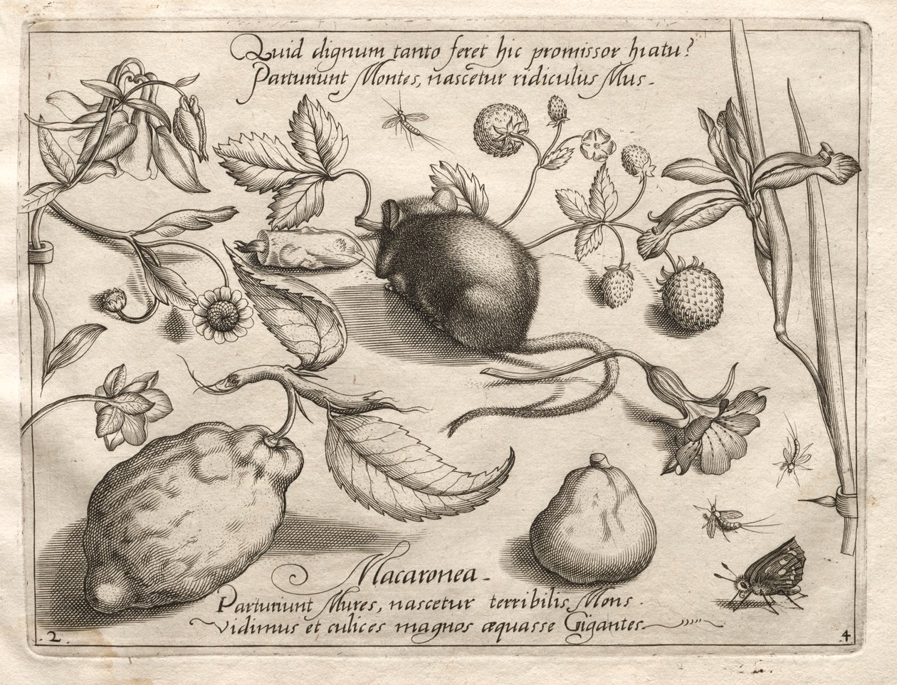 Archetypen und Studien: Was kann im Einklang mit einem solchen höhlenartigen Versprechen entstehen, 1592 von Joris Hoefnagel