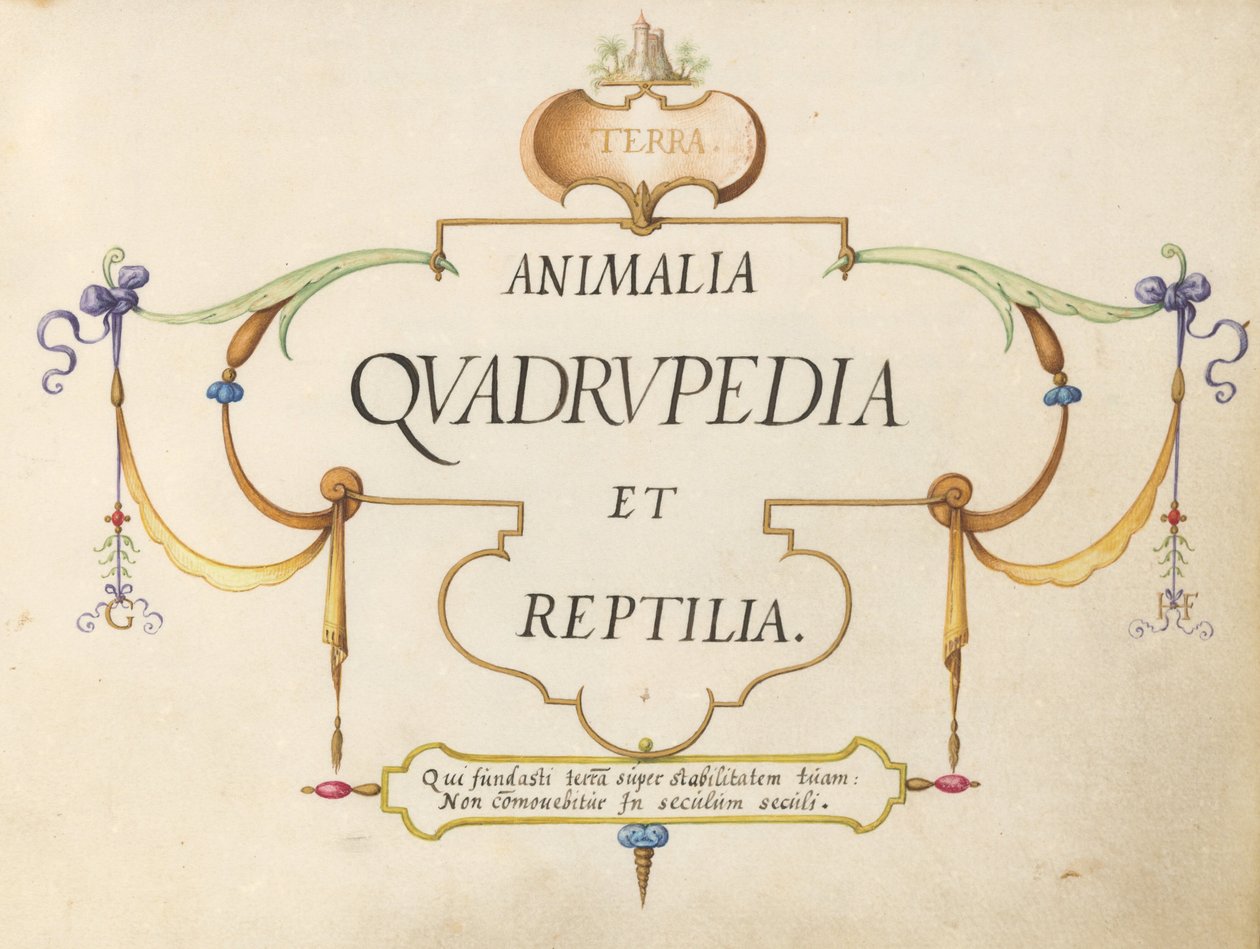 Titelseite von Joris Hoefnagel