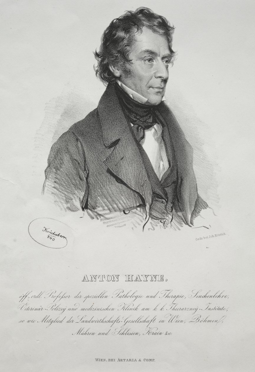 Porträt von Dr. Anton Hayne von Josef Kriehuber