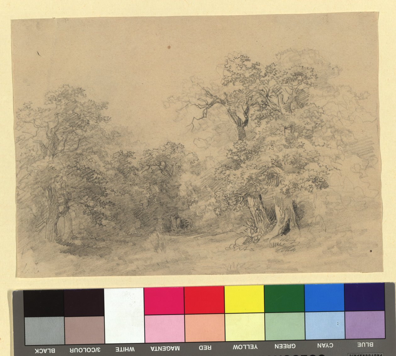 Waldlandschaft von Josef Kriehuber