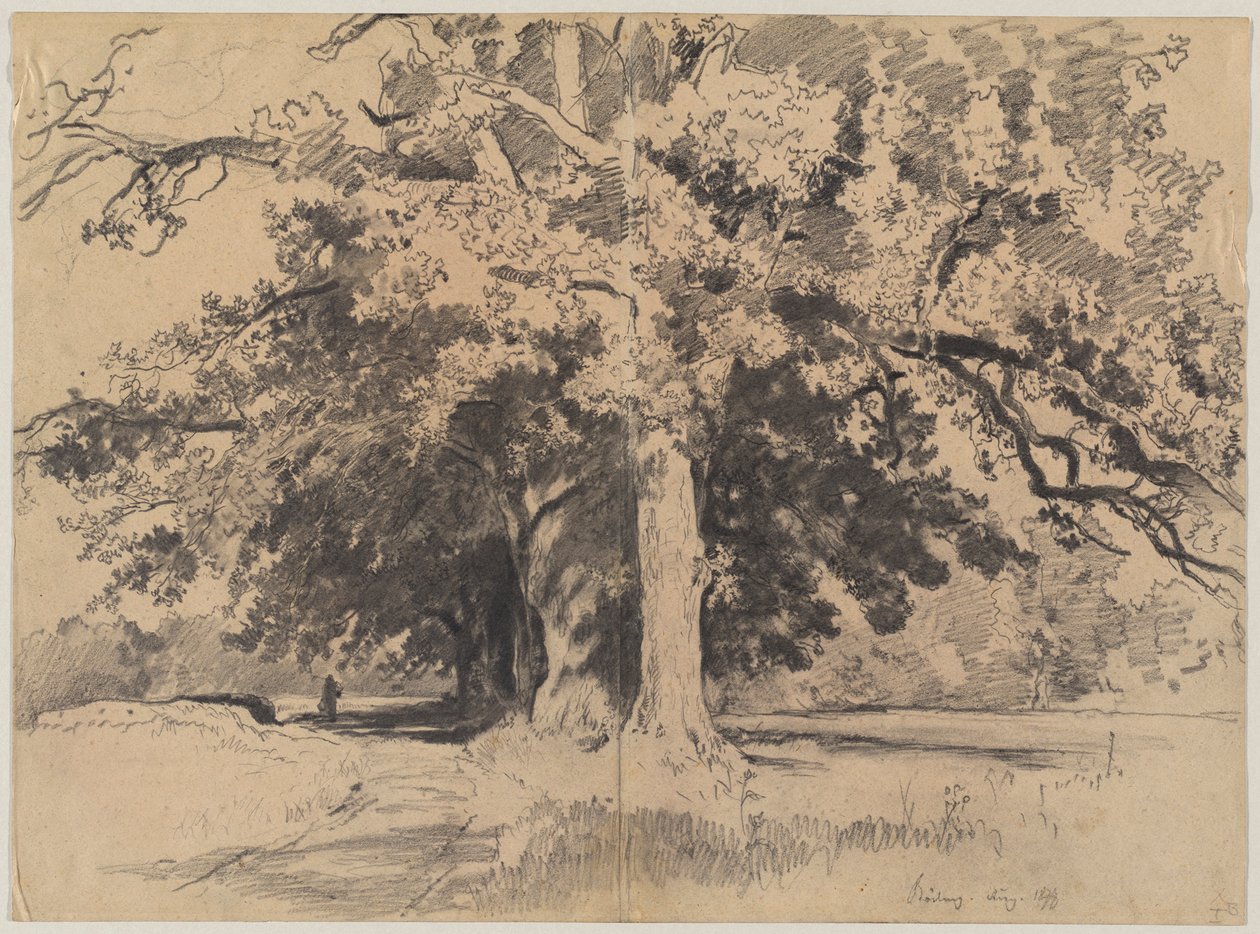 Hohe Bäume bei Böding von Josef Wenglein