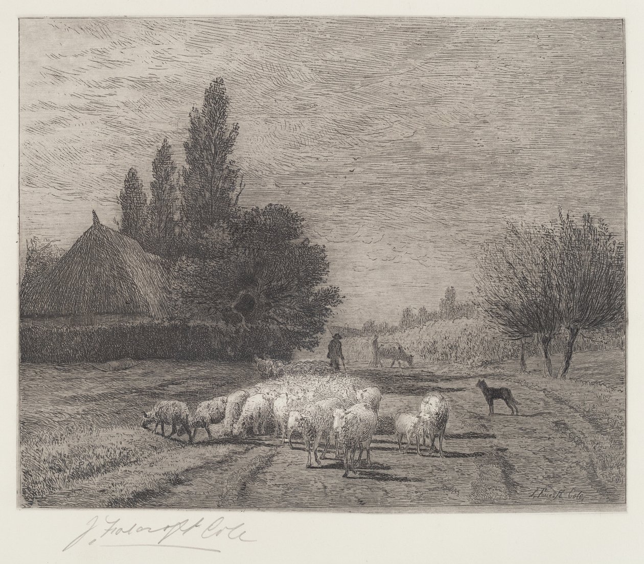 Dorfstraße in Frankreich mit einer Schafherde von Joseph Foxcroft Cole