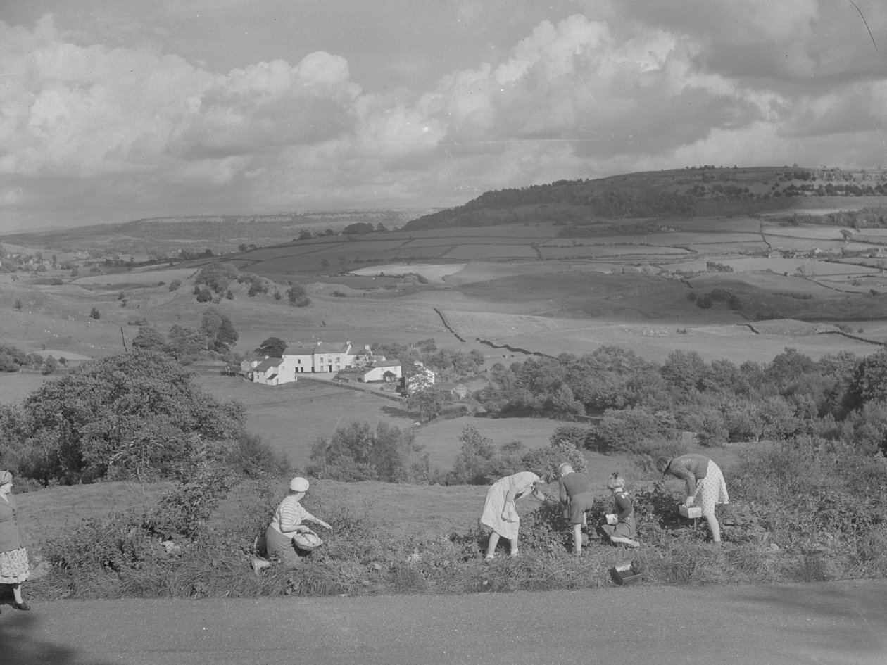 Kinder und Erwachsene pflücken Brombeeren mit Blick auf das Winster Valley von Joseph Hardman