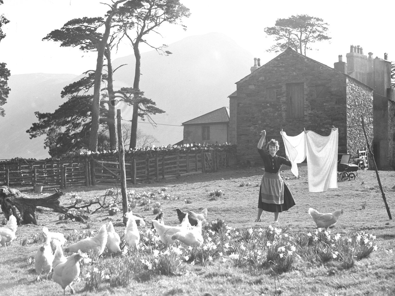 Bäuerin hängt Wäsche auf mit Geflügel im Vordergrund in Loweswater von Joseph Hardman