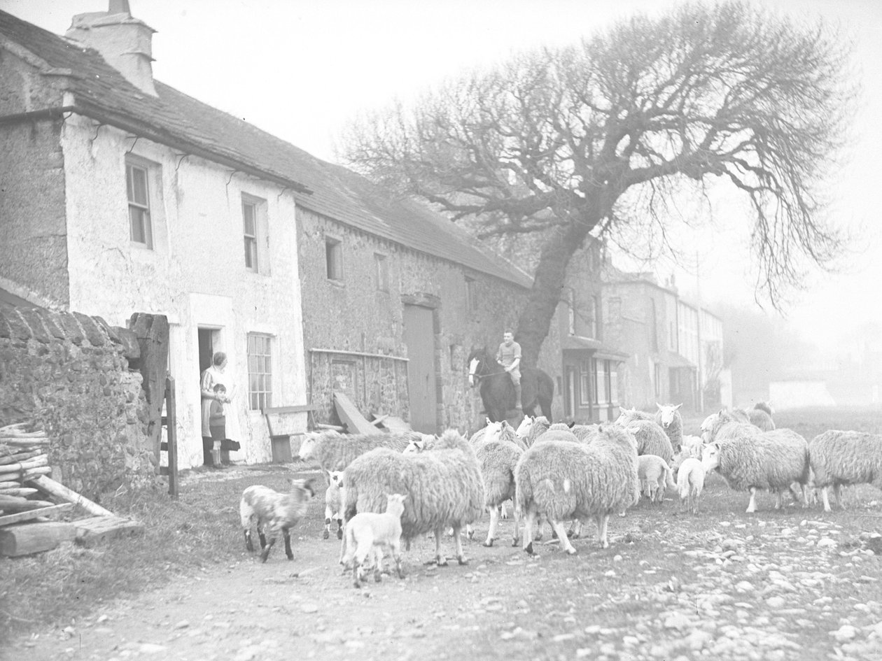Schafherde und Lämmer auf Weg vor Bauernhaus mit Mann zu Pferd, der mit Frau und Kind an der Tür des Hauses spricht von Joseph Hardman