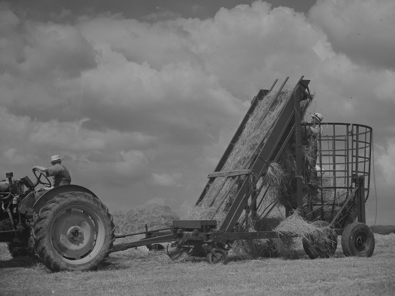 Traktor zieht mobilen Rahmen und Heu wird hineingeladen von Joseph Hardman