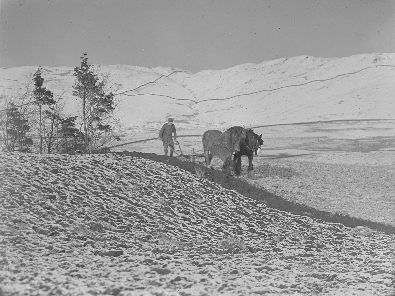 Zwei Pferde pflügen im Lune Valley von Joseph Hardman