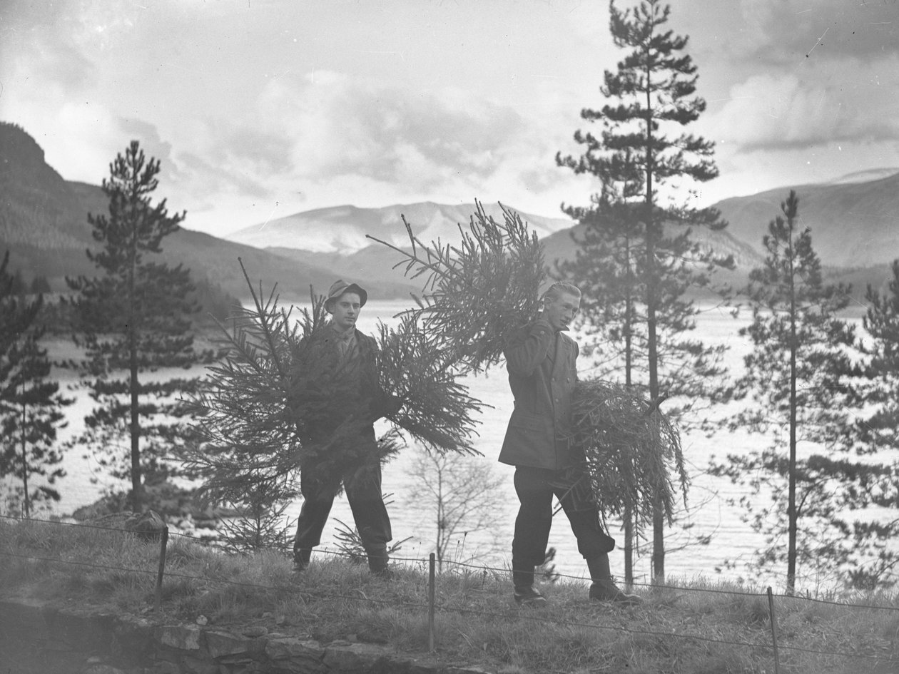 Zwei junge Männer tragen kleine Weihnachtsbäume am Ufer von Thirlmere von Joseph Hardman