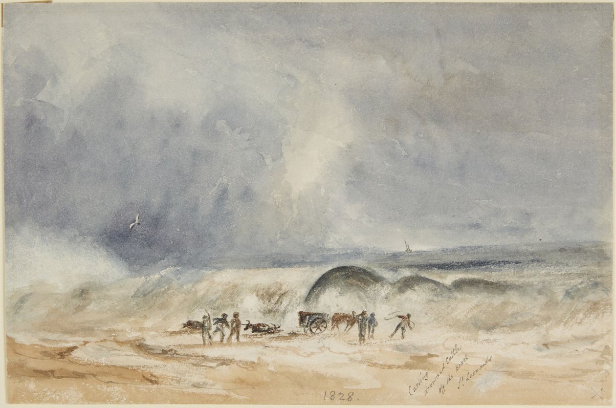 Abtransport ertrunkener Rinder vom Strand, St. Leonards von Joseph Mallord William Turner