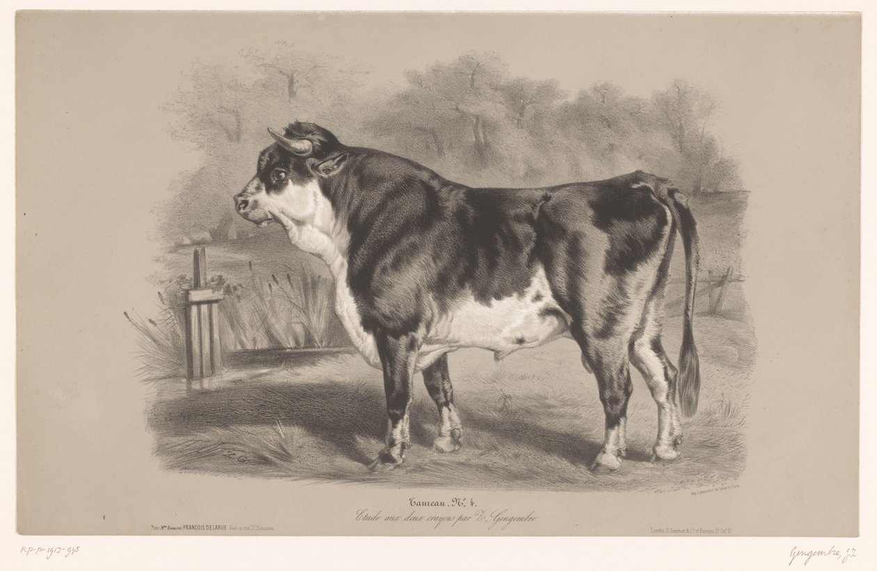 Stier auf einer Weide von Joseph Zephyris Gengembre
