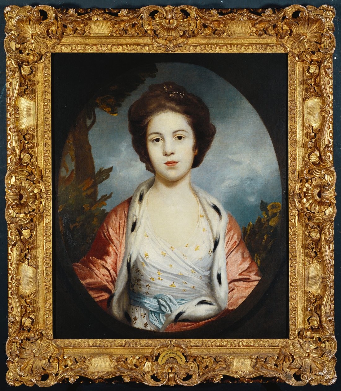 Porträt von Esther, Lady Wray, in einem weißen Kleid, einem goldenen und rosa Hermelinmantel, eine Landschaft im Hintergrund von Joshua Reynolds