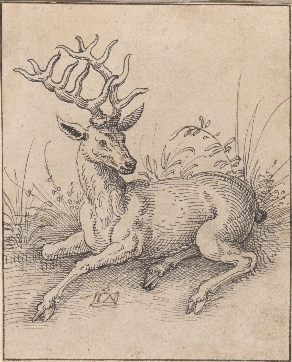 Der Hirsch von Jost Amman
