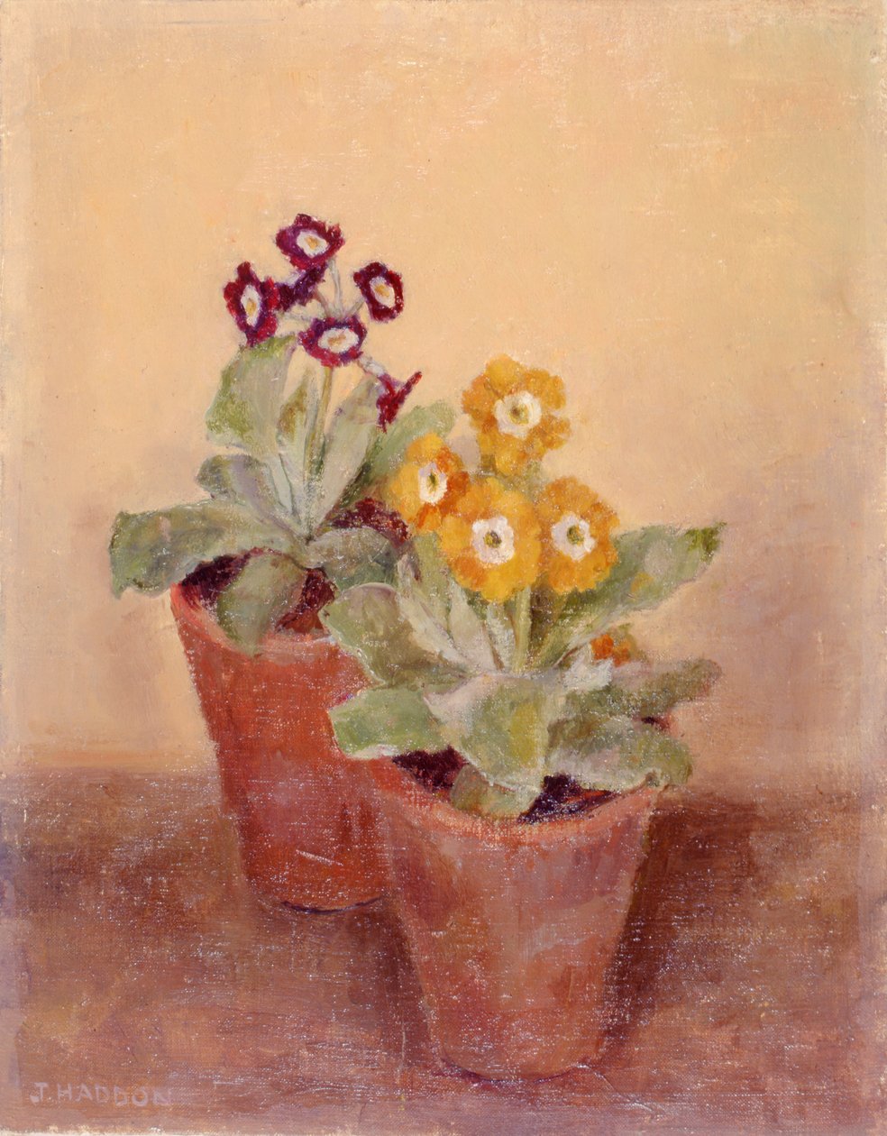 Ein Paar Mohnblumen von Joyce Haddon