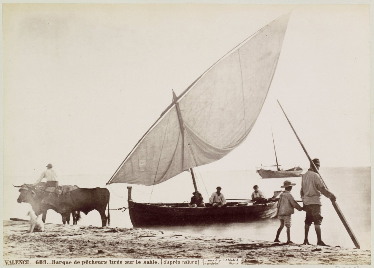 Ochsen ziehen Fischerboot am Strand von Valencia von Juan Laurent