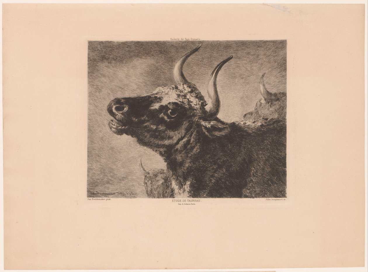 Kopf eines Stiers von Jules Ferdinand Jacquemart