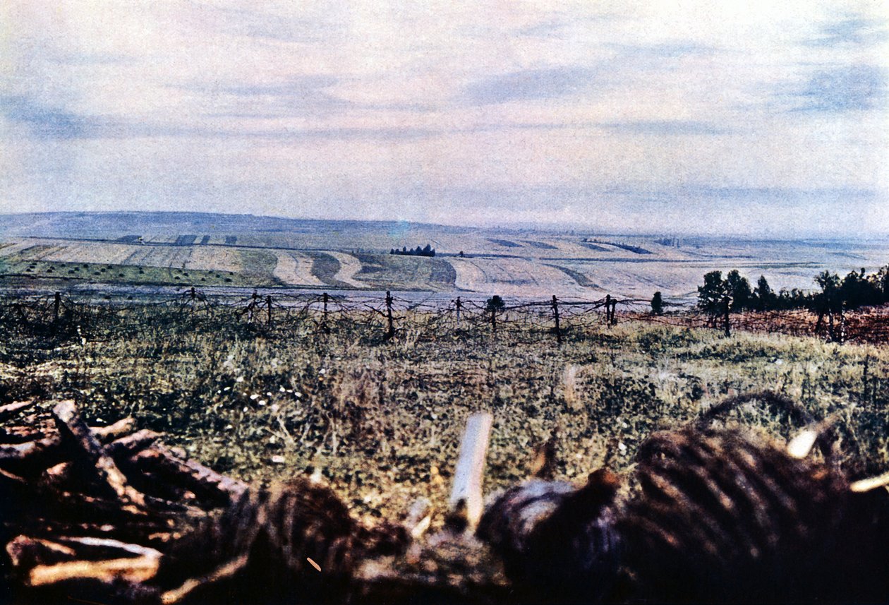 Hügel 304 mit Stacheldraht in der Nähe von Verdun, September 1916 von Jules Gervais Courtellemont