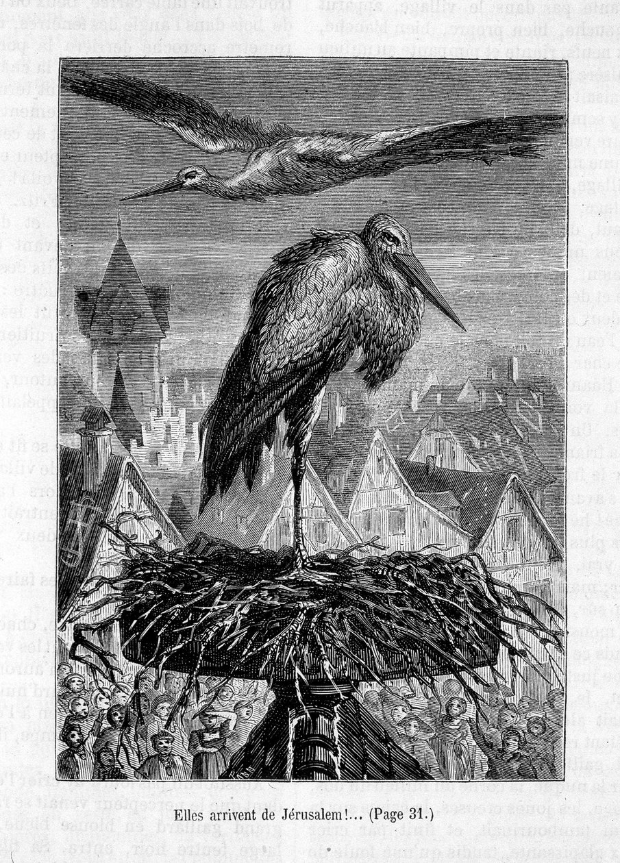 Störche auf einem Dach - in „Der Freund Fritz“ von Erckmann-Chatrian, ill. von Théophile Schuler von Jules Theophile (after) Schuler