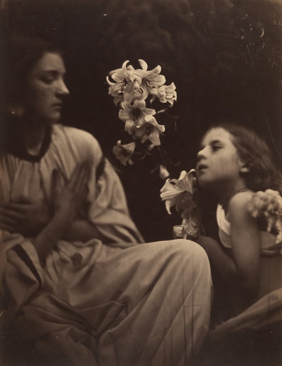 Eine Studie von Julia Margaret Cameron